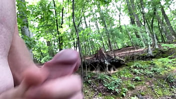 Preview 2 of Sheiky Anal - 2 deer watching me masturbate