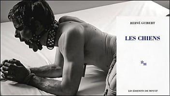 Preview 2 of Sez Viet Trinh - Les Chiens de Herv&eacute_ GUIBERT - Lecture Audio Pornographique (Lu par Le Conteur Geek)