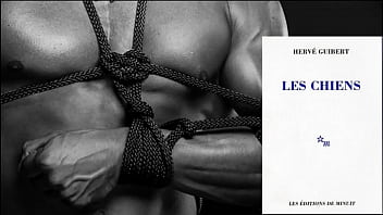 Preview 1 of Sez Viet Trinh - Les Chiens de Herv&eacute_ GUIBERT - Lecture Audio Pornographique (Lu par Le Conteur Geek)