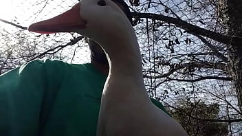 Preview 2 of Buyis Nxxxcom - Verification video