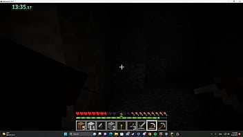 Preview 3 of Desi Girls Xxxx - Minecraft Sex Speedrun Any%