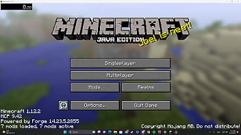 Preview 1 of Desi Girls Xxxx - Minecraft Sex Speedrun Any%