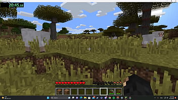 Preview 4 of Desi Girls Xxxx - Minecraft Sex Speedrun Any%