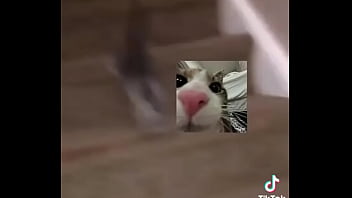 Preview 4 of Indian Aunt Crying - Gatos para que dejes la masturbaci&oacute_n