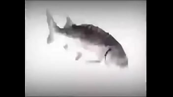 Preview 3 of Bukep Sama Kuda - SPINNER FISH fuck his step sis
