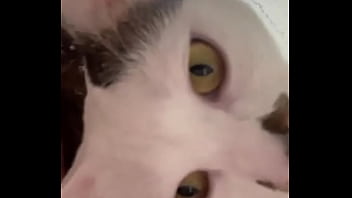 Preview 4 of Jada Estevens Anal - Why is this app so wild? Anyways this is Momo