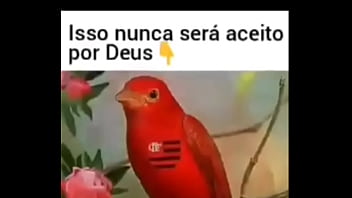 Preview 2 of Giirls Shower - Flamengo nunca ser&aacute_ aceito por Deus !