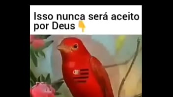 Preview 3 of Giirls Shower - Flamengo nunca ser&aacute_ aceito por Deus !
