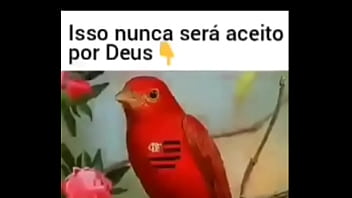 Preview 1 of Giirls Shower - Flamengo nunca ser&aacute_ aceito por Deus !