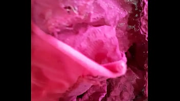 Preview 4 of Piqah Serti - Calzon rojo