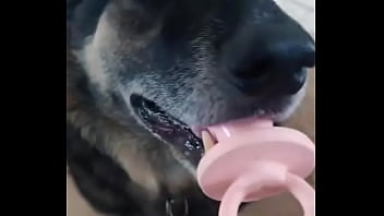 Preview 3 of Blu Blac - Cachorro chupetao kkkkkkkk