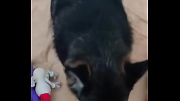 Preview 4 of Blu Blac - Cachorro chupetao kkkkkkkk