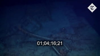 Preview 1 of Ave Anjalina - Navio naufragado de 111 aninhos fode com 5 turistas curiosos