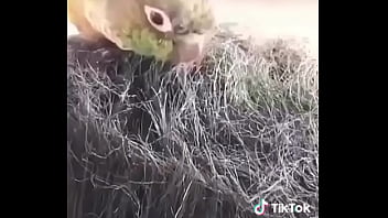Preview 3 of Mom And Son Boobs Pressing Hard - Neymar