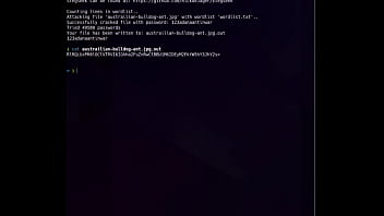 Preview 2 of Filipino Wwomen - Adana CTF / THM