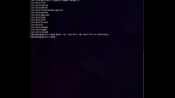 Preview 4 of Filipino Wwomen - Adana CTF / THM