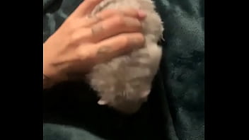 Preview 1 of Xxx Anmals And Girls - literally this chonka rodent has no idea how much he helps my mental health