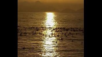 Preview 4 of My Father Wth Me - Estou no Rio de Janeiro at&eacute_ domingo