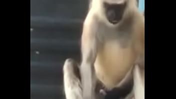 Preview 2 of Xxx Vioba Com Hinaa - Monkey