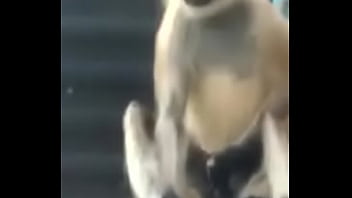 Preview 4 of Xxx Vioba Com Hinaa - Monkey