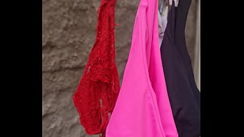 Preview 2 of Zentrale Dildo - Calcinhas da Prima