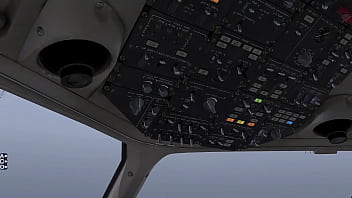 Preview 3 of Dawnlaoud Sex Pusy - How to start up the Carenado/LES Saab 340 tutorial XP11
