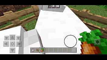 Preview 2 of Ebony Sswwbb - Minecraft sheep farm tutorial