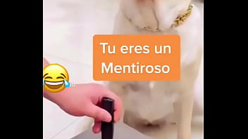 Preview 2 of Naluto Hentai - Perro inteligente