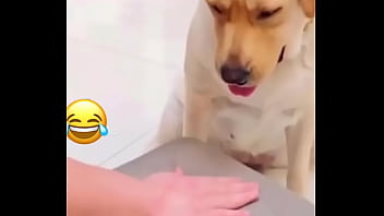 Preview 1 of Naluto Hentai - Perro inteligente