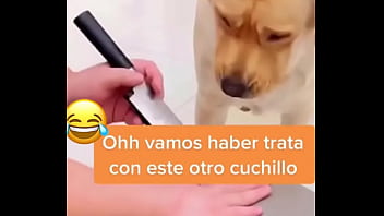 Preview 4 of Naluto Hentai - Perro inteligente