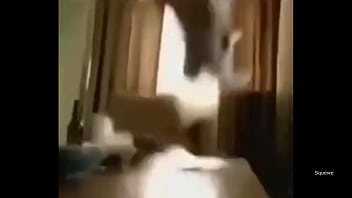Preview 4 of Real Opnsex - Top 5 scariest jumpscares