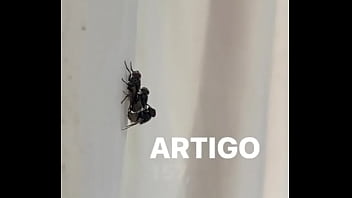 Preview 2 of Xnxx Saxy Yang Gial And Gial - Concei&ccedil_&atilde_o sendo arrega&ccedil_ada por cau
