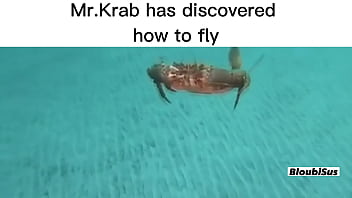 Preview 4 of Sunny Leon Ficked - Top 5 dangerous Mr.Krabs