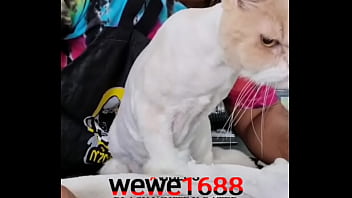 Preview 4 of Latina Flair - shaving pussy..