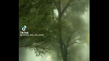 Preview 1 of Bulto De Hombres - V&iacute_deo de verificaci&oacute_n