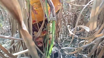 Preview 1 of Xxxwwwv Pakistan - Indian Desi Village outdoor Desi outdoor