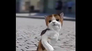 Preview 3 of Kutta Ki - Gato bailando