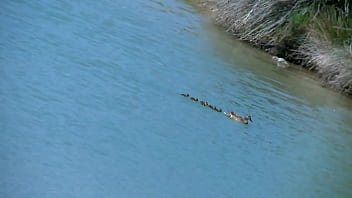 Preview 1 of New Cass - Outdoorfuck with some Fishing guys