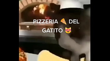 Preview 1 of Livesex 32 - gato safado fazendo massagem em pizza gostosa