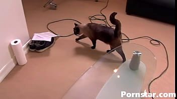 Preview 3 of Contorol Dad V Mom - See Your Favorite Babes From Behind the Scenes