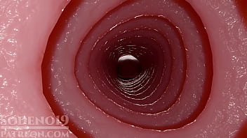 Preview 2 of Fucking Fake Horsecock - Video(248)