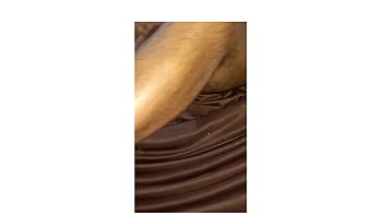 Preview 3 of Brazzers Frces Sex Rape - crown has sex on the sofa and fur.