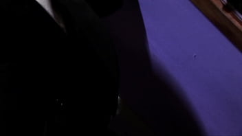 Bdsm Hd Sex Dog