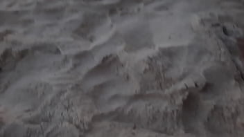 Jav Radikal