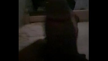 Caprice Hd