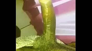 Black Big Cock Fuck Asian Girl