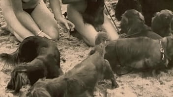 Bangola Xxx Video