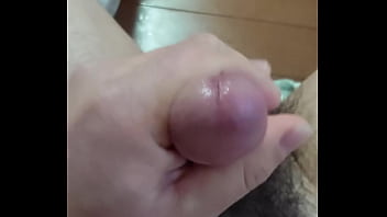 Panish Needle