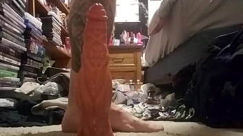 Xvisos