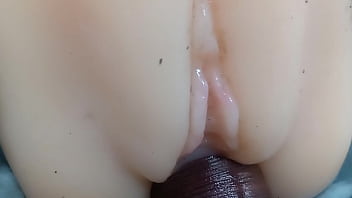 Asses And Cocks